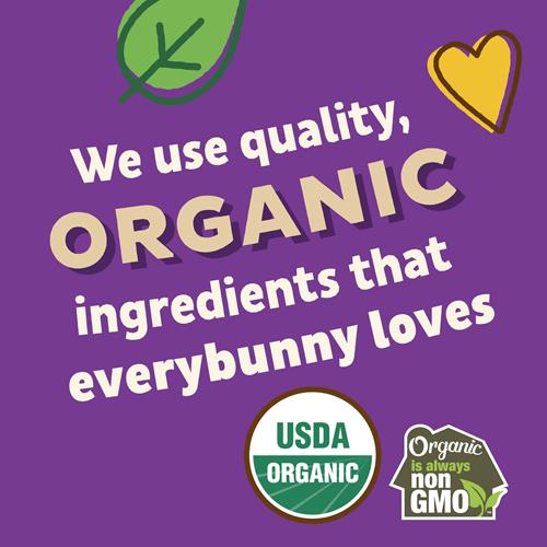 Annies Organic Friends Bunny Grahams, Chocolate Chip, Chocolate, And Honey Baked Graham Snacks, 11.25 Oz