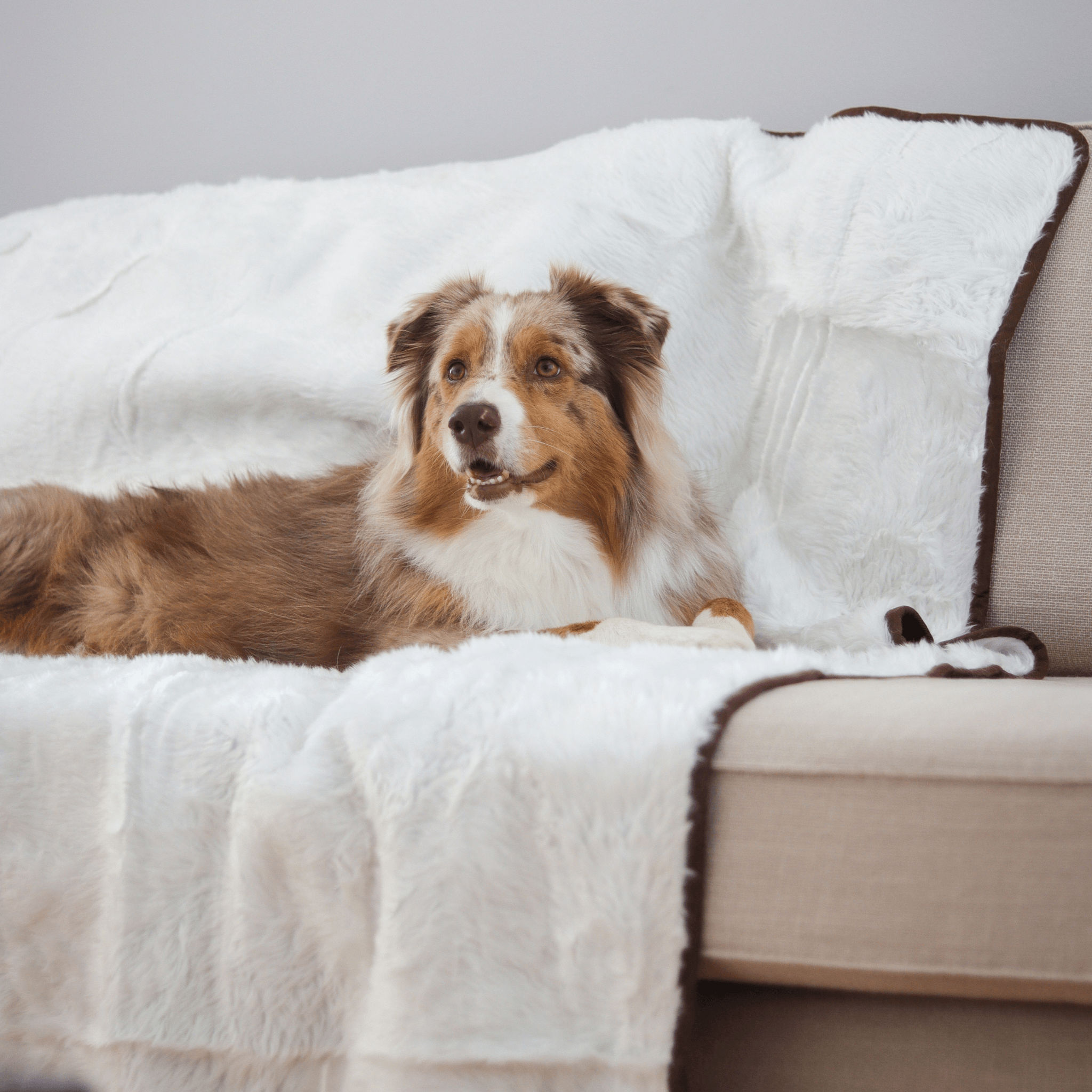 PupProtector™ Summer Short Fur Waterproof Throw Blanket - Polar White