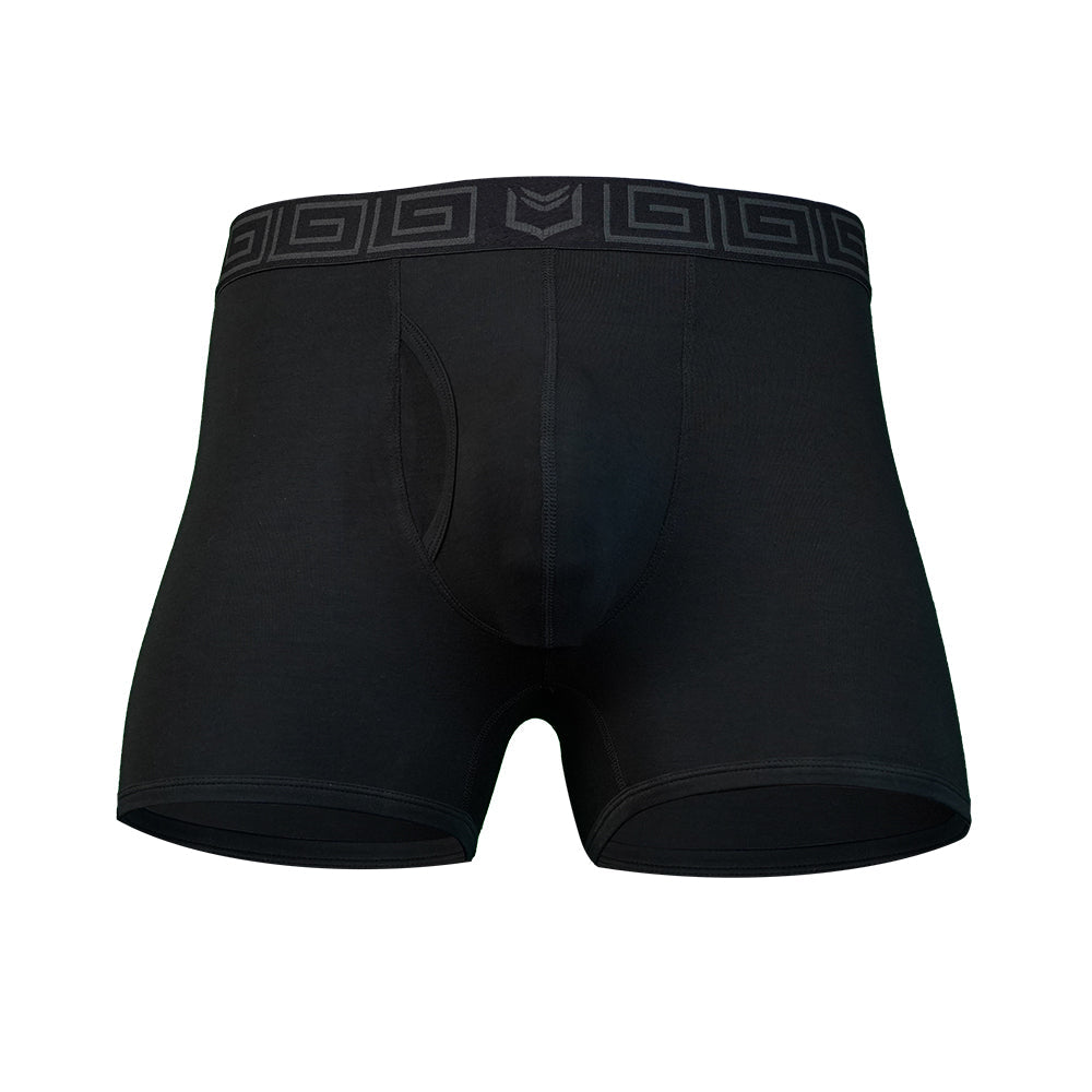 SHEATH 2.1 Bamboo Men's Pouch Trunk 3" (3 Pack)