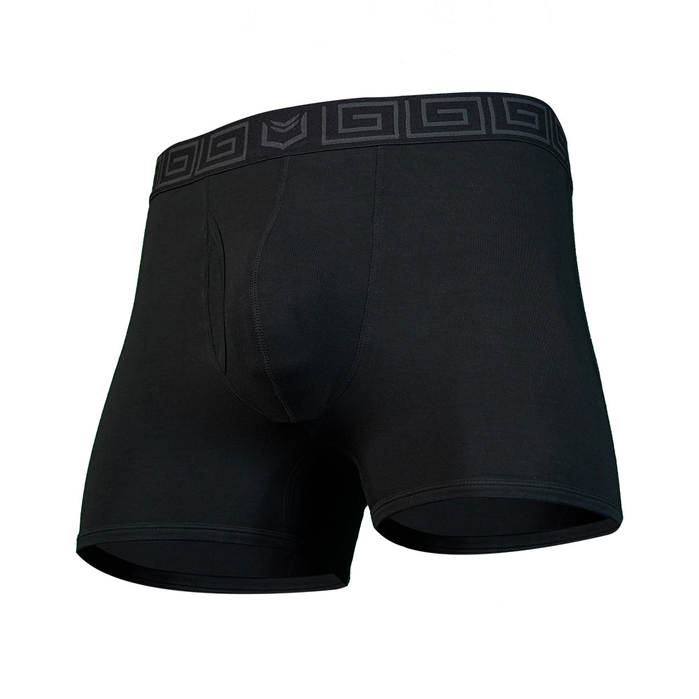 SHEATH 2.1 Bamboo Men's Pouch Trunk 3" (5 Pack)