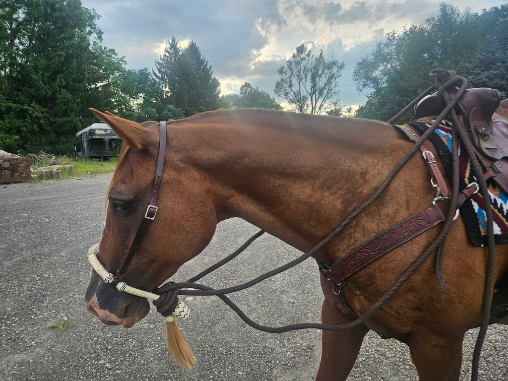 Tahoe 5/8" Natural Rawhide Braided Bosal with Rawhide Core & Leather Hanger Versatile Horse Training Gear with Classic Design & Comfortable Fit Black / Tan