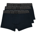 SHEATH 2.1 Bamboo Men's Pouch Trunk 3" (3 Pack)