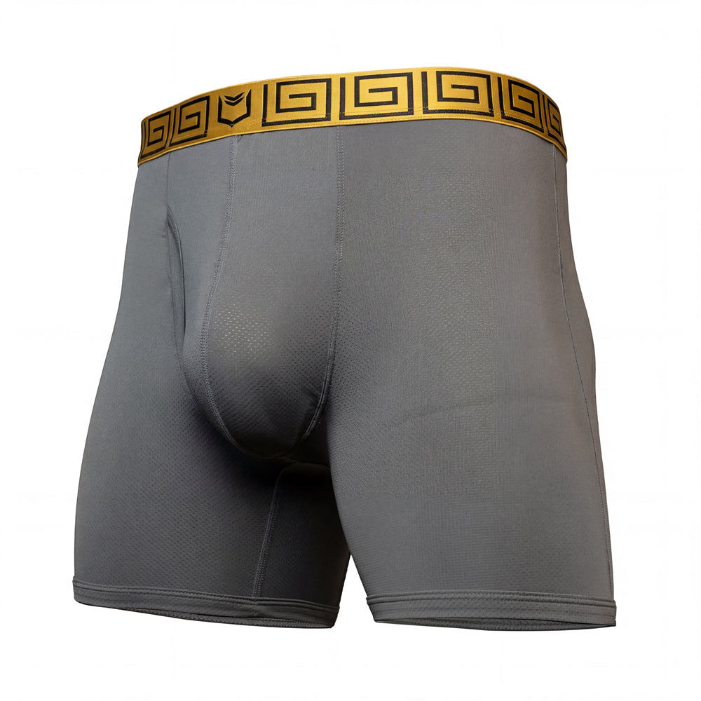 SHEATH 4.0 AirFlow Men's Pouch Boxer Brief 5" (3 Pack)