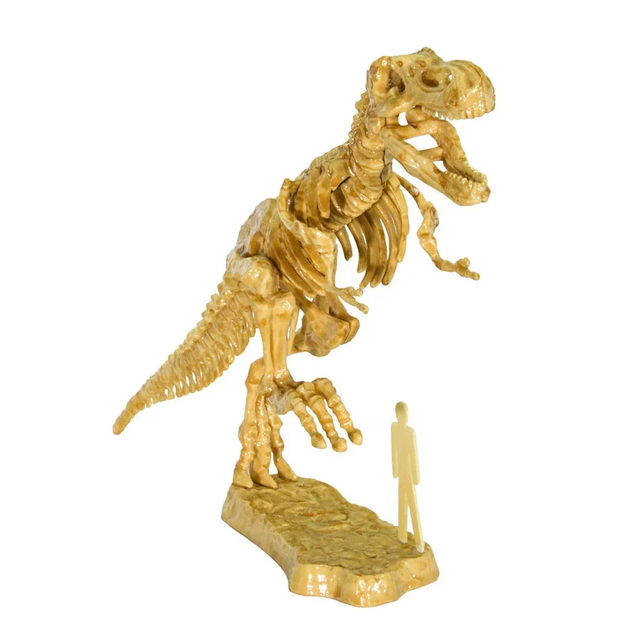 I Dig It! Dinos - 3D T Rex Excavation Kit