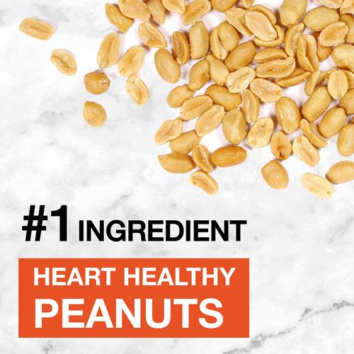 Kind Nut Bars, Peanut Butter Dark Chocolate, Healthy Snacks, Gluten Free, 8G Protein, 12 Count