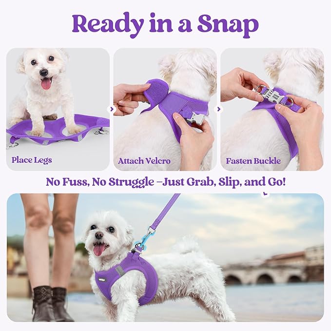 rabbitgoo Dog Harness Small Sized and Leash Set, Step in Soft Light Puppy Vest, Breathable Mesh Pet Harness, Reflective for Outdoor Safe Walking, Purple XXL