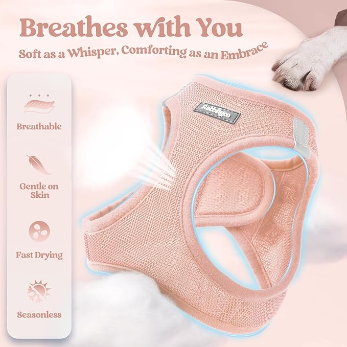 rabbitgoo Dog Harness Small Sized and Leash Set, Step in Soft Light Puppy Vest, Breathable Mesh Pet Harness, Reflective for Outdoor Safe Walking, Pink XL