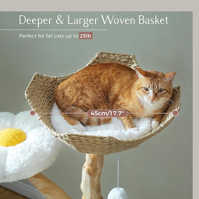 PAWZ Road Cat Tree for Indoor Cats Large Adults, 59 Inches Modern Cat Tower with Large Basket and Hammock, Natural Solid Wood, Luxury Condo & Dual Perches, Modern Cat Furniture for Big Cats, White
