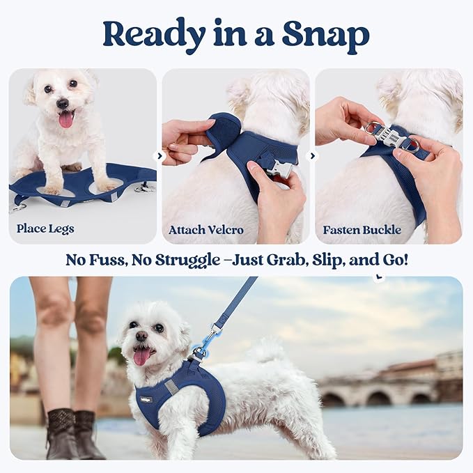rabbitgoo Dog Harness Small Sized and Leash Set, Step in Soft Light Puppy Vest, Breathable Mesh Pet Harness, Reflective for Safe Outdoor Walking, Navy Blue M
