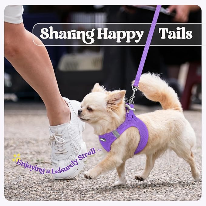 rabbitgoo Dog Harness Small Sized and Leash Set, Step in Soft Light Puppy Vest, Breathable Mesh Pet Harness, Reflective for Safe Outdoor Walking, Purple XXS