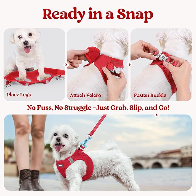 rabbitgoo Dog Harness Small Sized and Leash Set, Step in Soft Light Puppy Vest, Breathable Mesh Pet Harness, Reflective for Safe Easy Walking, Red M