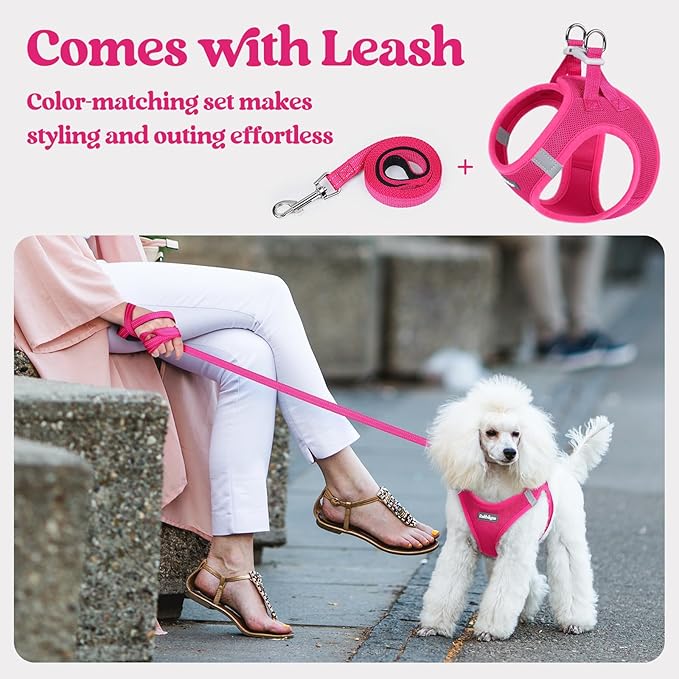 rabbitgoo Dog Harness Small Medium Sized and Leash Set, Step in Soft Light Puppy Vest, Breathable Mesh Pet Harness, Reflective for Safe Easy Walking, Rose Red L