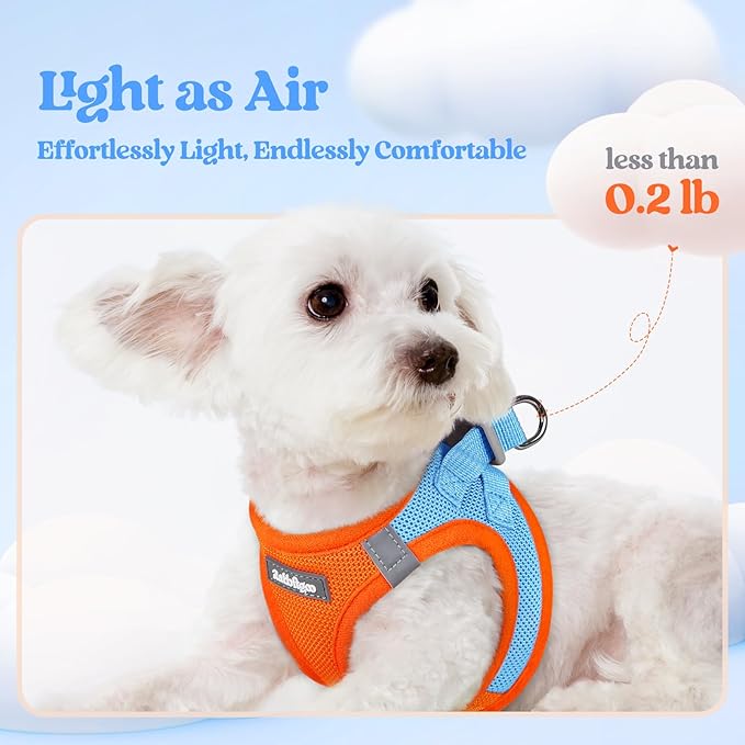 rabbitgoo Dog Harness Small Sized and Leash Set, Step in Soft Light Puppy Vest, Breathable Mesh Pet Harness, Reflective for Safe Easy Walking, Blue & Orange S