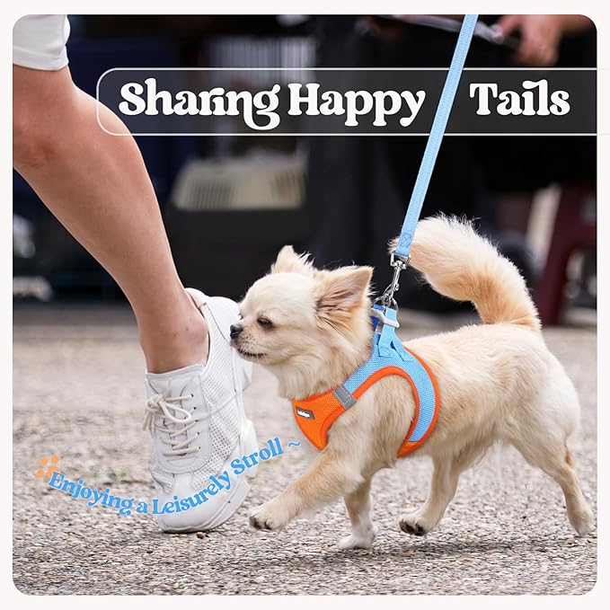 rabbitgoo Dog Harness Small Sized and Leash Set, Step in Soft Light Puppy Vest, Breathable Mesh Pet Harness, Reflective for Safe Easy Walking, Blue & Orange S
