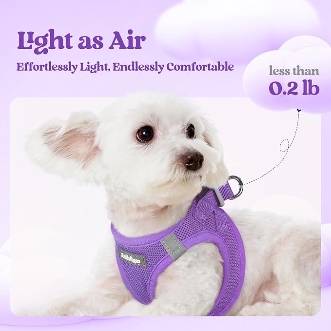 rabbitgoo Dog Harness Small Sized and Leash Set, Step in Soft Light Puppy Vest, Breathable Mesh Pet Harness, Reflective for Safe Outdoor Walking, Purple S