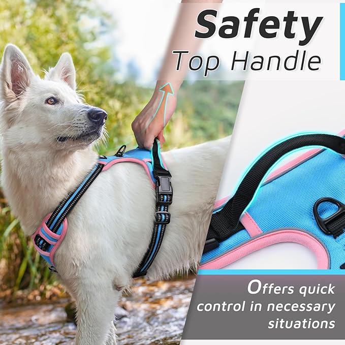 Eagloo Dog Harness Small Sized Dog, No Pull Service Vest with Reflective Strips and Control Handle, Adjustable and Comfortable for Walking, No Choke Pet Harness with 2 Metal Rings, Pink & Blue, S