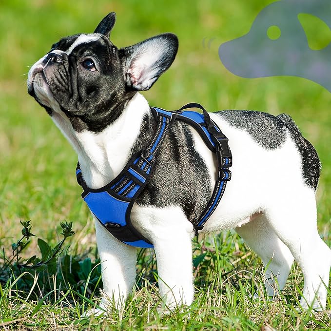 Eagloo Dog Harness Small Sized Dog, No Pull Service Vest with Reflective Strips and Control Handle, Adjustable and Comfortable for Walking, No Choke Pet Harness with 2 Metal Rings, Blue, S