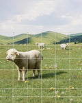 9GA Thickened Heavy Duty Cattle Farm Fence, 4ft x 328ft Galvanized Goat Deer Fence, Heavy Zinc Coating Hog Wire Fencing for Farm Livestock Animals Protection