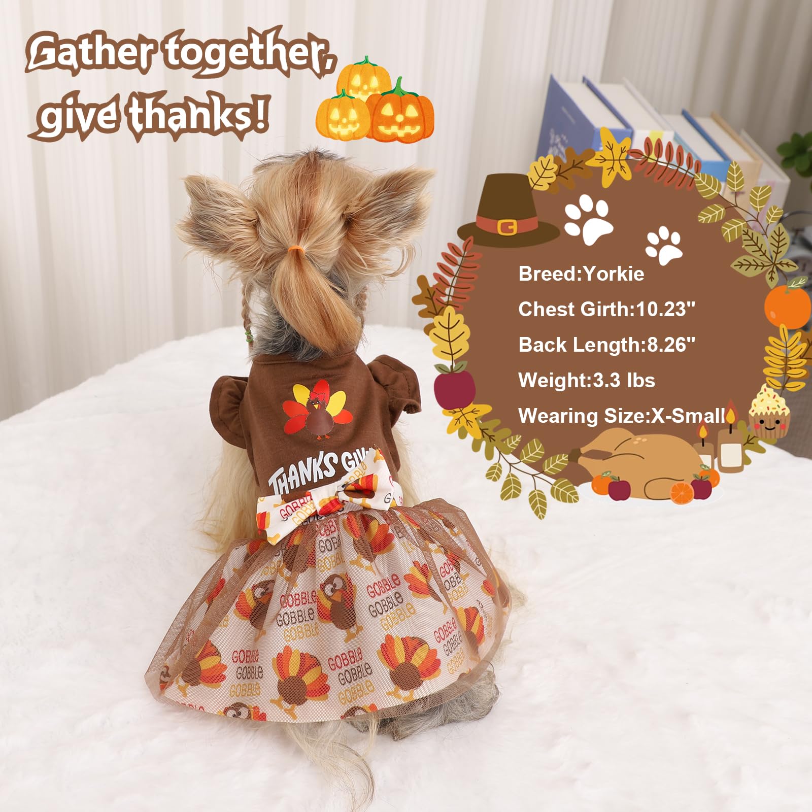 Sebaoyu Thanksgiving Dog Dress Brown Small Size