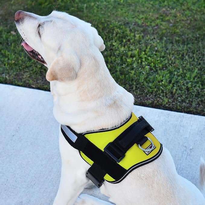 Dogline Dog Harness, Reflective No-Pull Adjustable Vest with Handle for Walking, Training, Breathable, No - Choke Harness for Small, Medium or Large Dogs Room for Patches Girth 18 to 24 in Lime Green