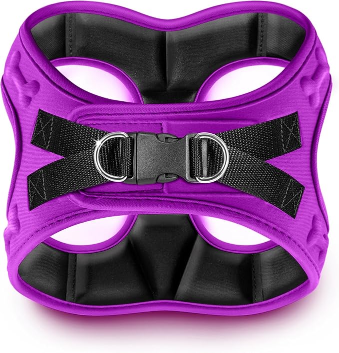 Comfort fit Step-in Dog & Puppy Harness - Comfortable All Weather Dog Vest Harness: Adjustable, Soft Padded, Easy to Put-on for Small, Medium-Sized Dogs.