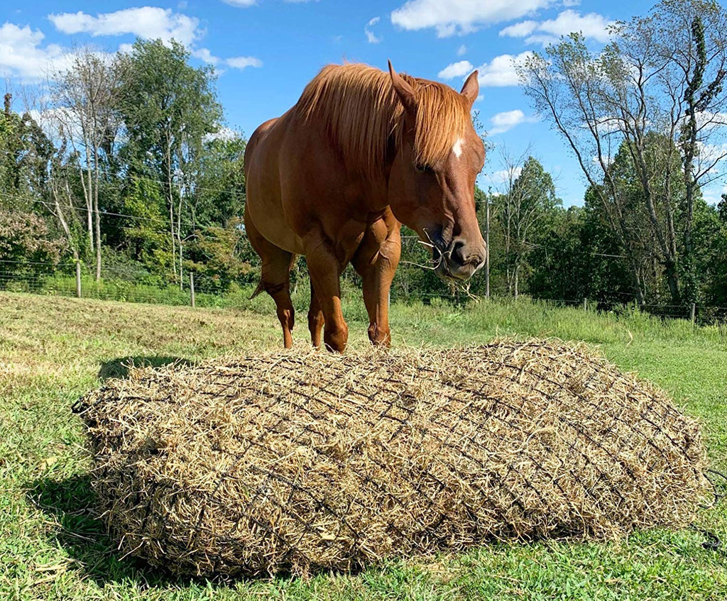 Derby Originals Hay Feeder Slow Feed 56” Long and 3" x 3" Holes Hay Net for Horses