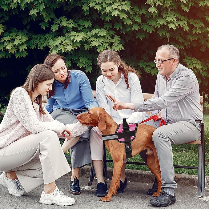 Dogline Dog Harness, Reflective No-Pull Adjustable Vest with Handle for Walking, Training, Breathable, No - Choke Harness for Small, Medium or Large Dogs Room for Patches Girth 22"-28" in Pink Camo