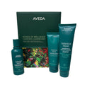 AVEDA Limited-Edition Bonds of Brilliance Botanical Repair Strengthening Essentials Gift Set