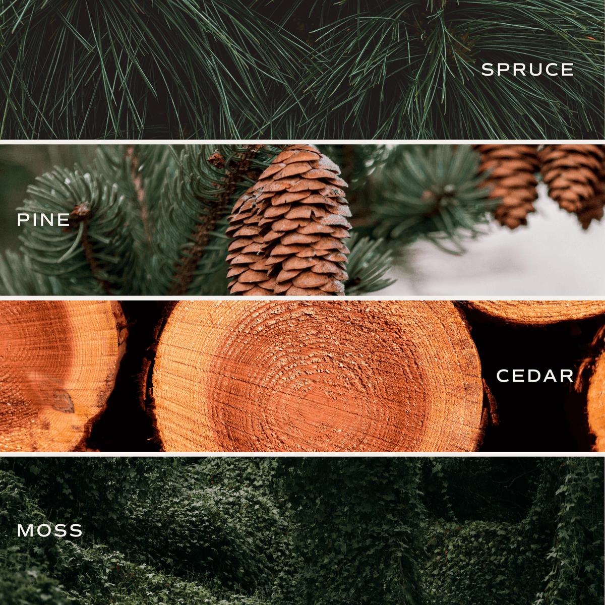 Christmas Tree Farm Soy Candle - Green Matte Jar - 15 oz