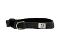 cuteNfuzzy® Adjustable Padded Dog Collar