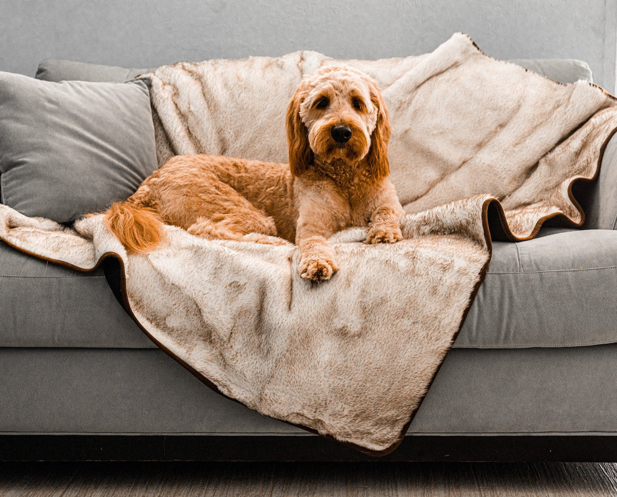 PupProtector™ Summer Short Fur Waterproof Throw Blanket - White with Brown Accents
