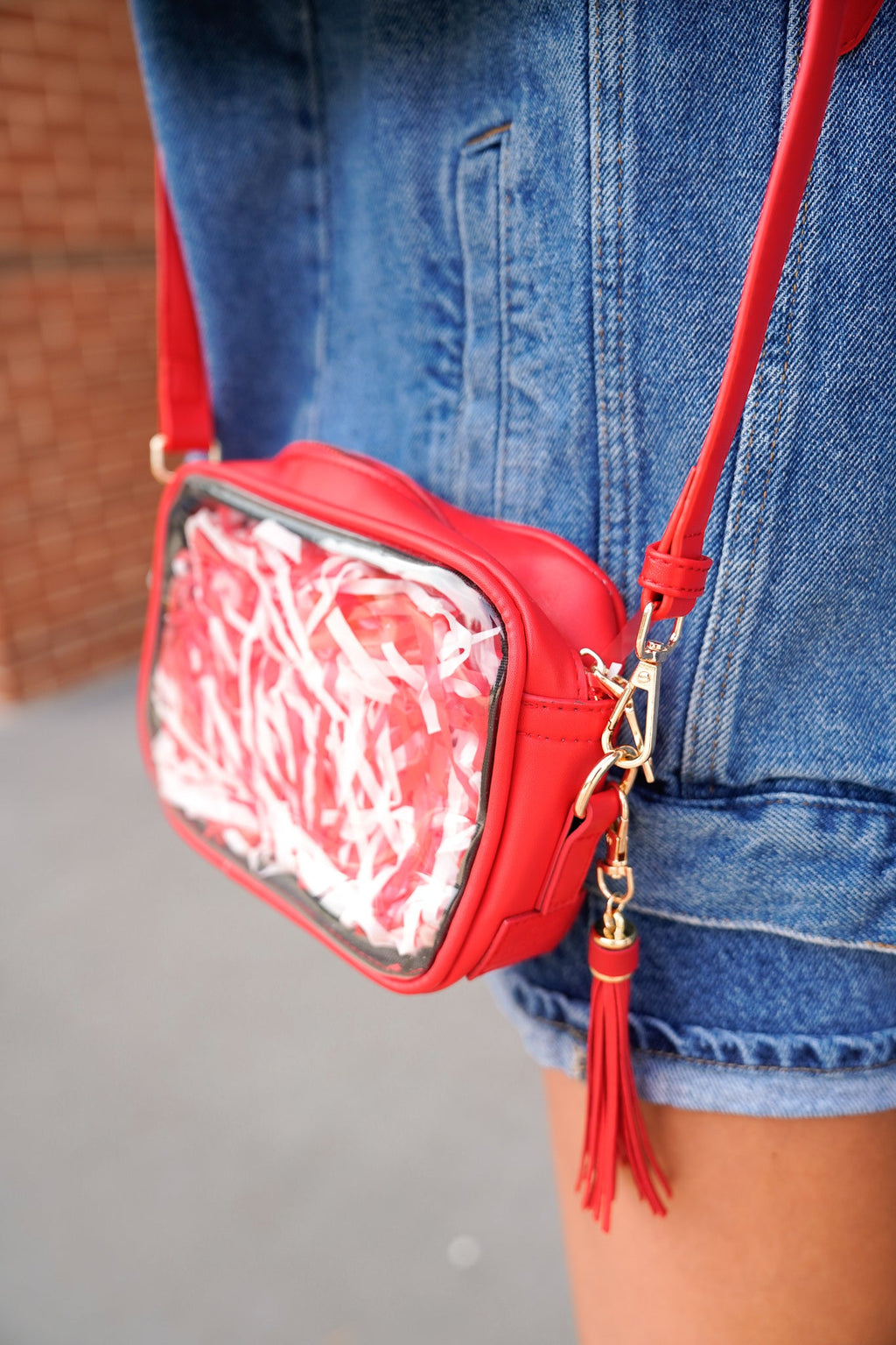 Stadium Approved Clear Purse With Tassle