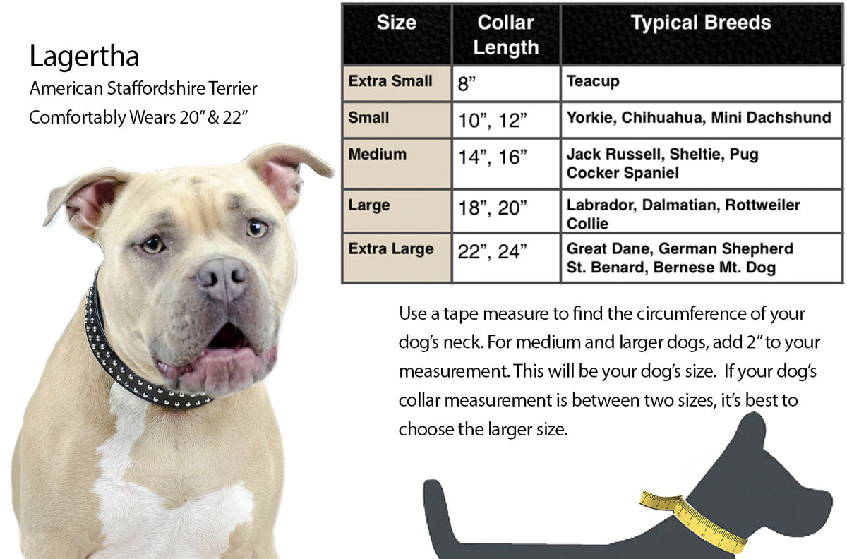 Derby Dog Designer Series USA Leather Padded Dog Collar with Swarovski Crystal Inlay with Stainless Steel Rolled Buckle for Comfort
