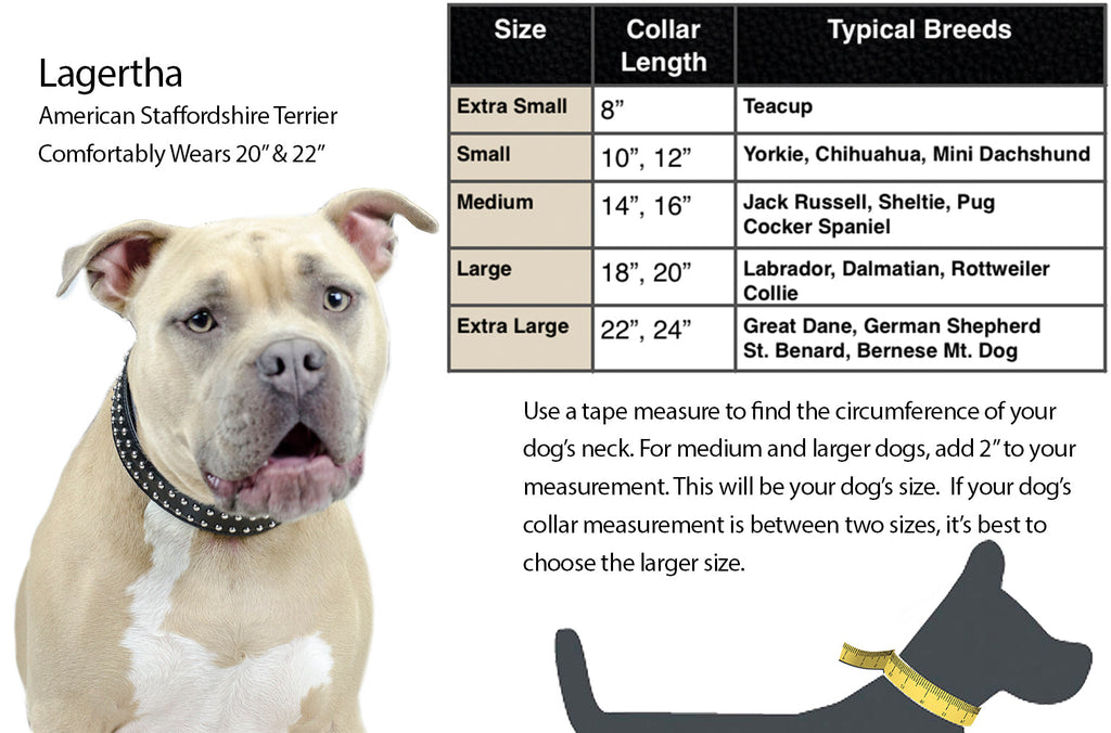 Derby Dog Designer Series Tooled USA Leather Padded Barbwire Dog Collar with Stainless Steel Rolled Buckle for Comfort