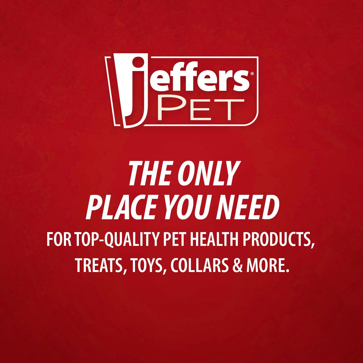 Jeffers Red Millipede Natural Rubber Treat Dispensing Dental Dog Chew Toy