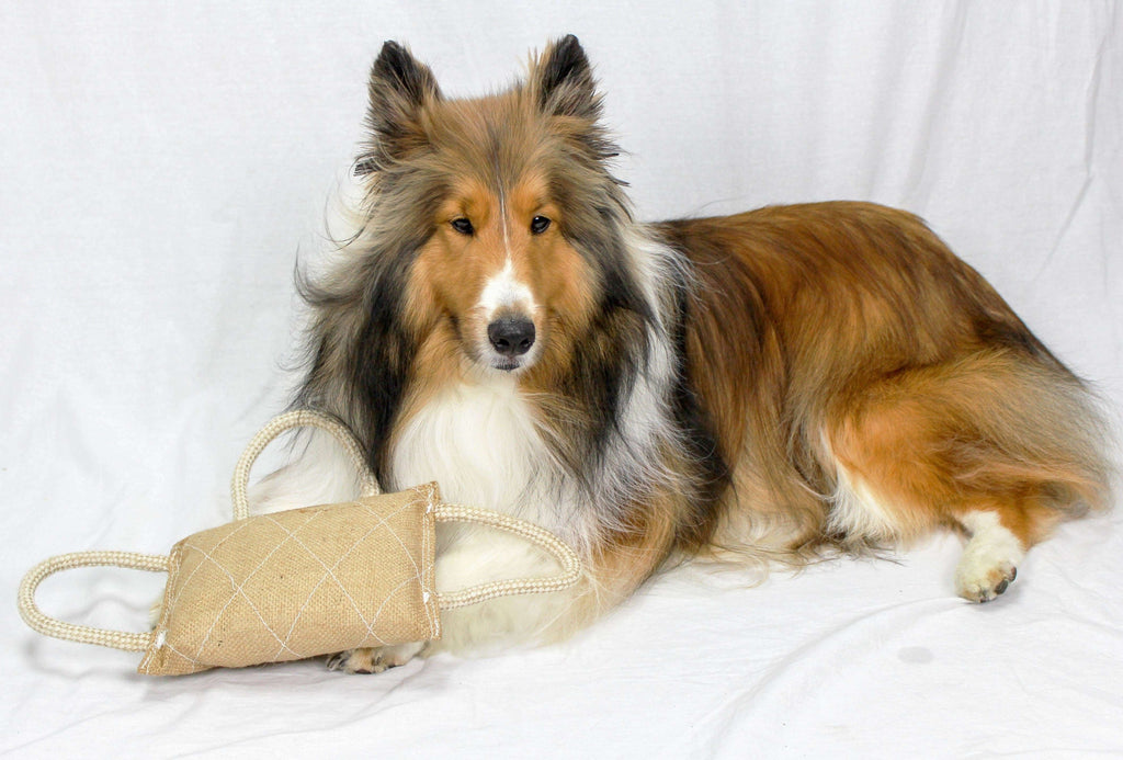 cuteNfuzzy Organic Dye-Free Eco-Friendly Jute Bite and Tug Toy for Large Dogs