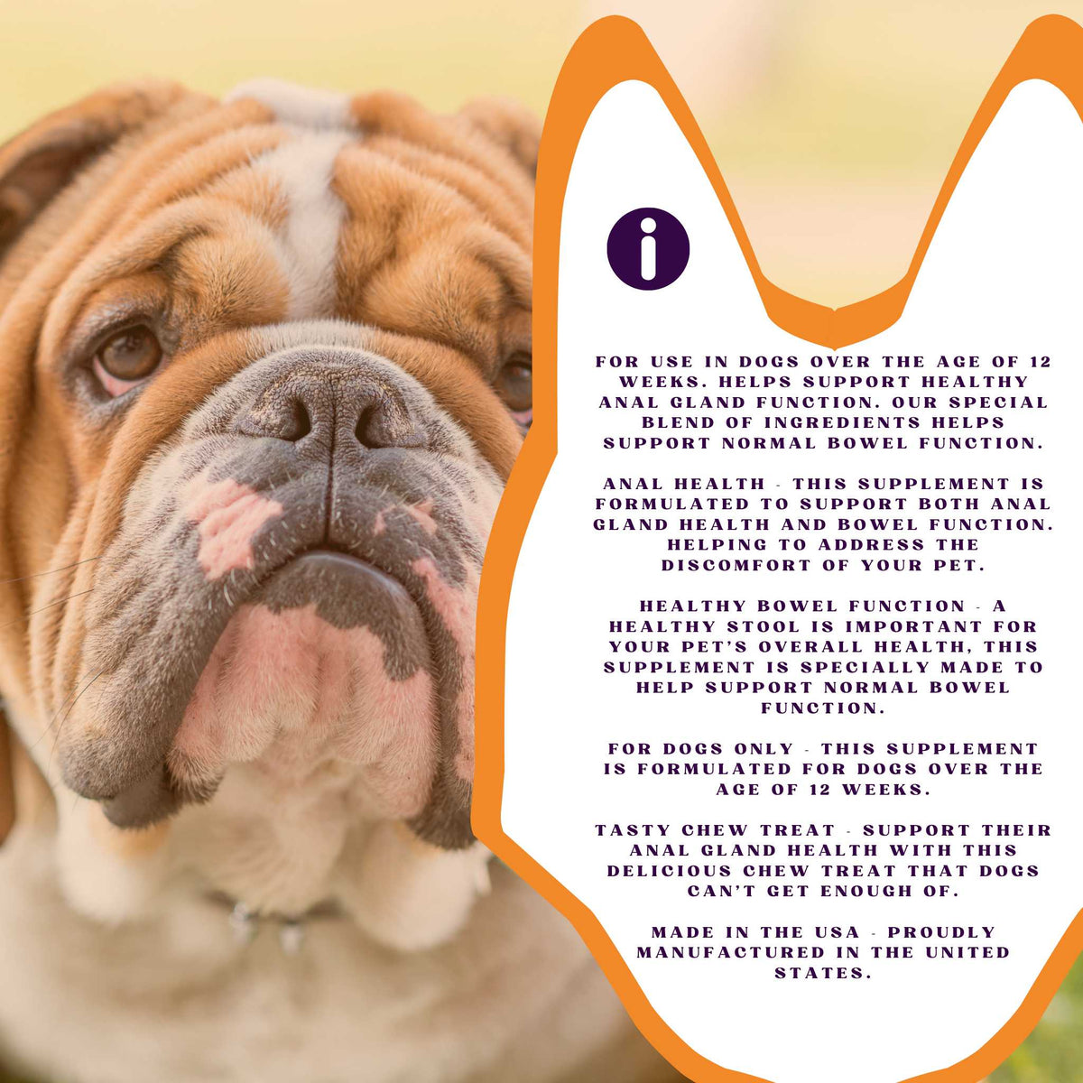 PiccardNaturePets No Stinky Butt Anal Gland Dog Support 120ct Chews + FREE Bandana!