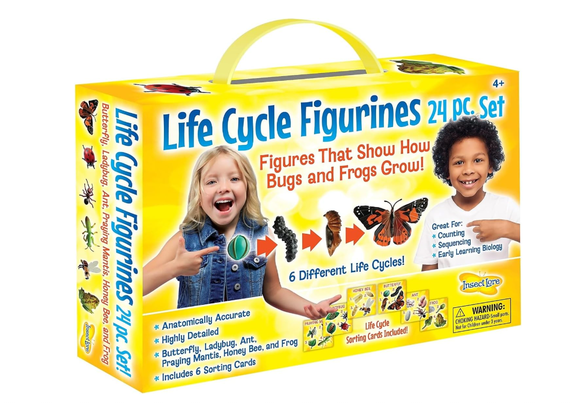 Life Cycle Figurines