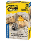 I Dig It! Fossils