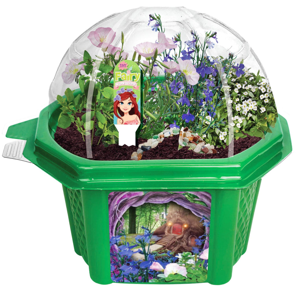 Tiny Fairy Wonderland