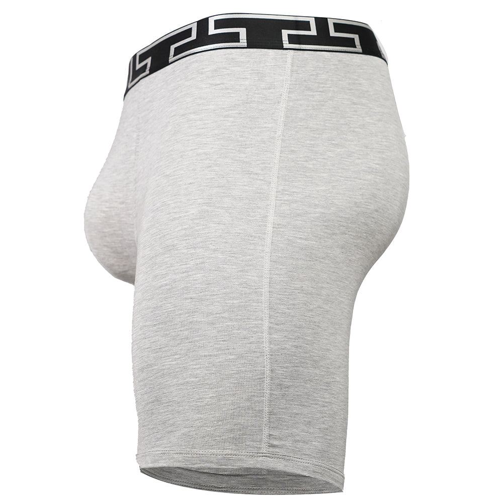 SHEATH V Bamboo Titan Men's Pouch Boxer Brief 8"