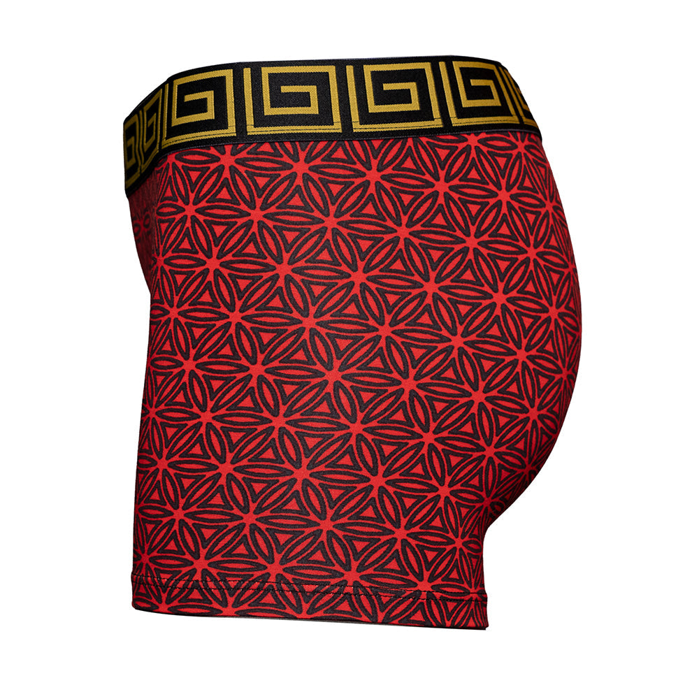 SHEATH Women's Modal Boxer Brief