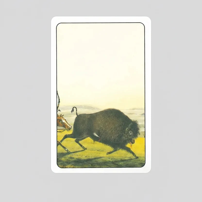 Native American Playing Cards Set Two