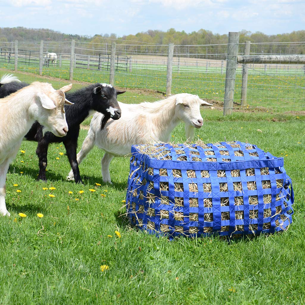 Natural Grazer 4-Sided Slow Feeder Horse Hay Bag – 1.75" Square Openings – Limited Hay Access | Patented Design – 1-Year Warranty