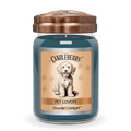 Doodle's Delight™ - Large Jar Candle (Collective)